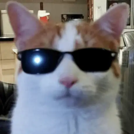 Single cover: KITCHEN CRIPZ