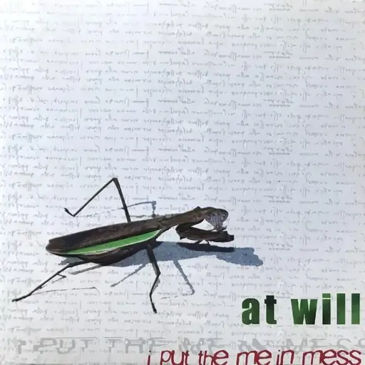 I Put the Me in Mess