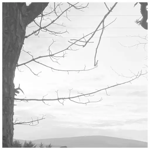 Single cover: MARE RUMOROSO