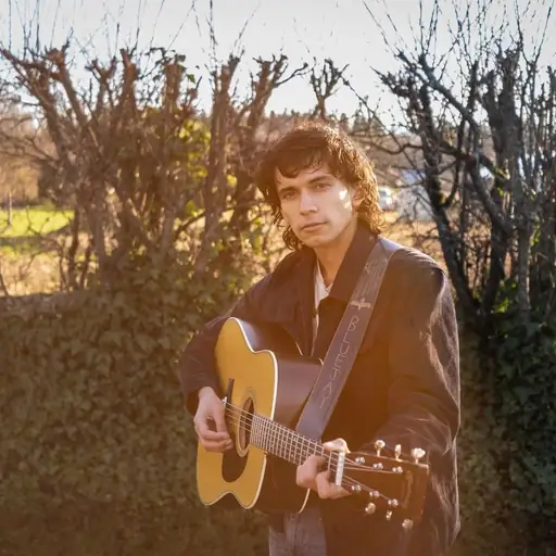 Artist: Bluejay Friese