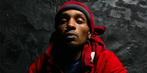 Del the Funky Homosapien