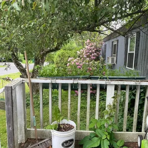 Single cover: I Wish I Was Honest With My Mom Like I Am To My mic