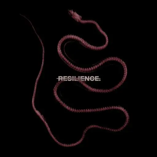 RESILIENCE.