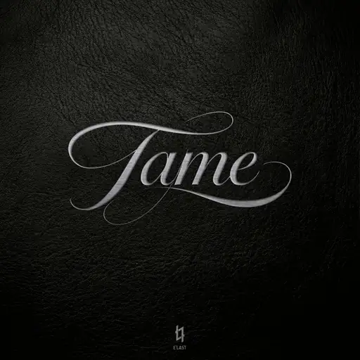 Single cover: Tame