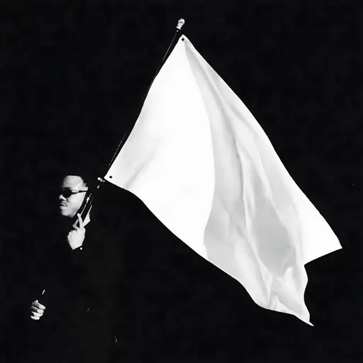 Single cover: White Flag
