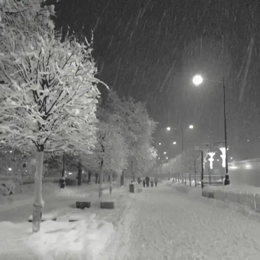 Single cover: my bad