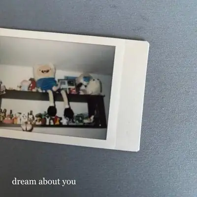 Single cover: dream about you
